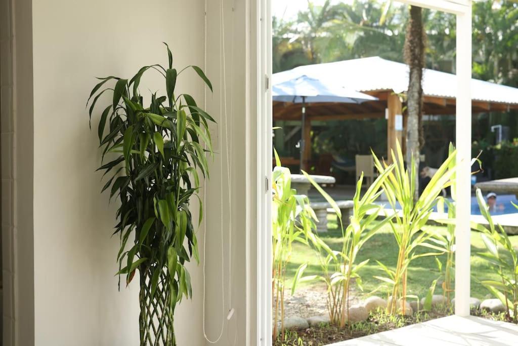 Apartment A Piece Of Paradise *