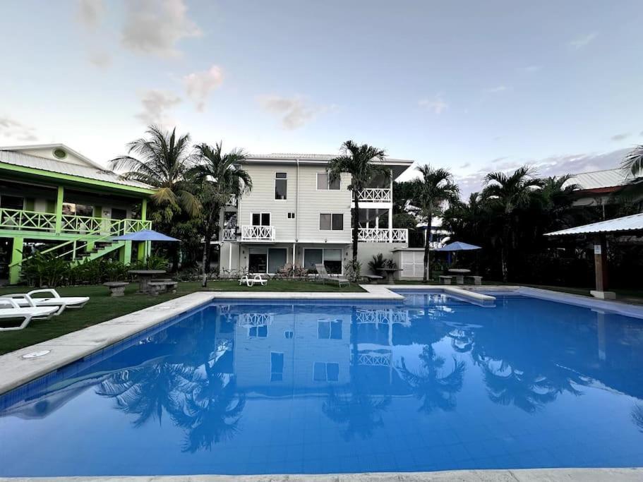 A Piece Of Paradise Apartment