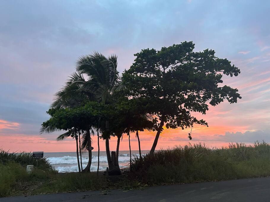 Apartment A Piece Of Paradise Playa Hermosa (Puntarenas)